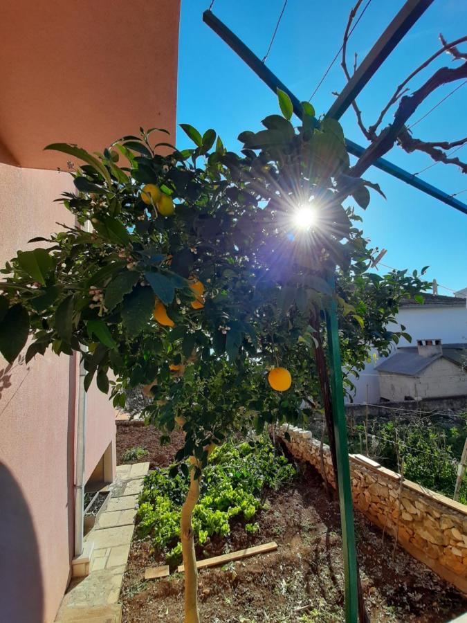 Apartments Ljulj トロギール エクステリア 写真